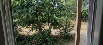 Studnature Dunes D - Quiet garden with trees