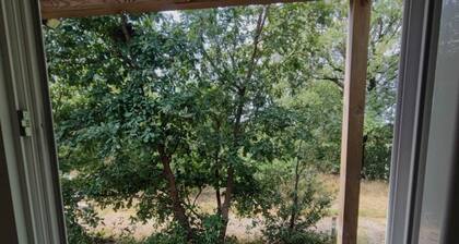 Studnature Dunes D - Quiet garden with trees