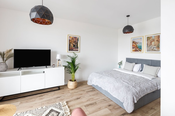 Standard-Studiosuite | Bügeleisen/Bügelbrett, kostenloses WLAN