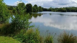Un lago tranquilo rodeado de vegetación y árboles.