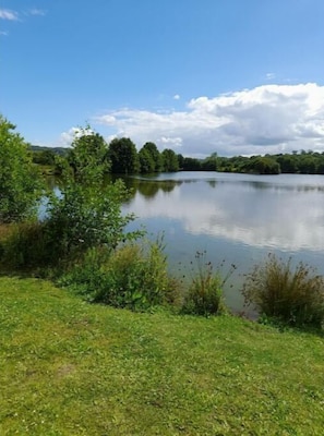 Um lago tranquilo com vegetação e árvores ao redor.