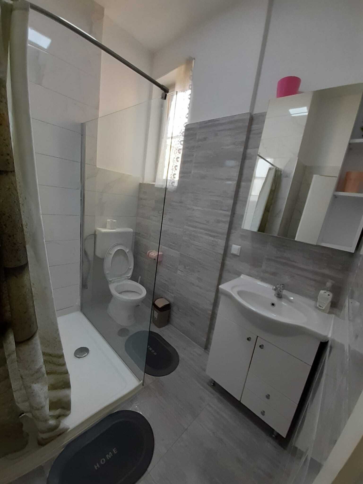 A modern bathroom with a glass shower enclosure, a toilet, a sink, and a mirror.