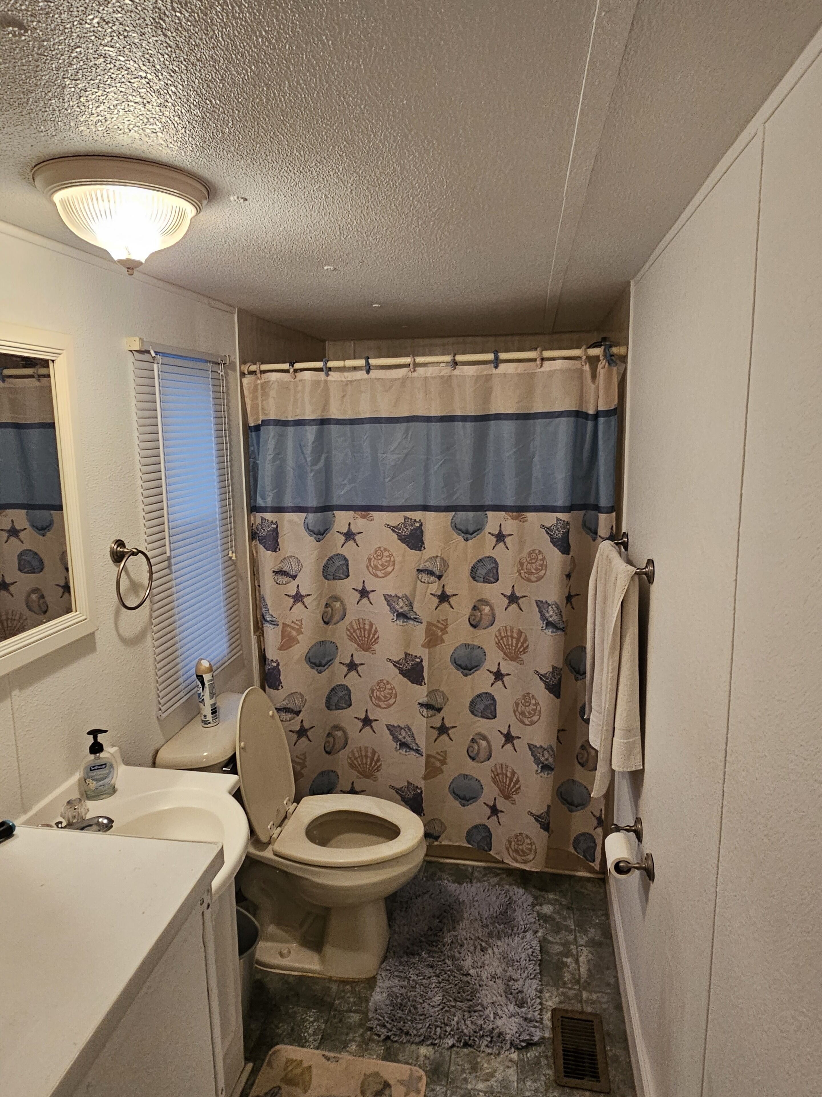 3/2 private boat slip with dock!