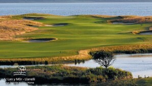Un campo de golf con cuerpos de agua y un árbol en primer plano.
