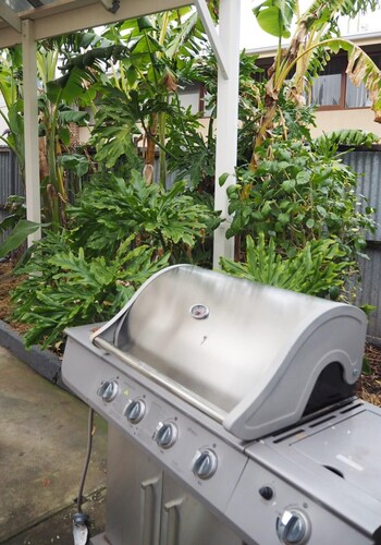 Harriett's Cottage - on Harriett's