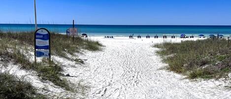 Playa en los alrededores