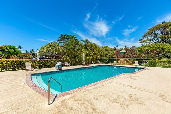 Una piscina rectangular con borde de azulejos, rodeada de sillas de descanso y una palmera.