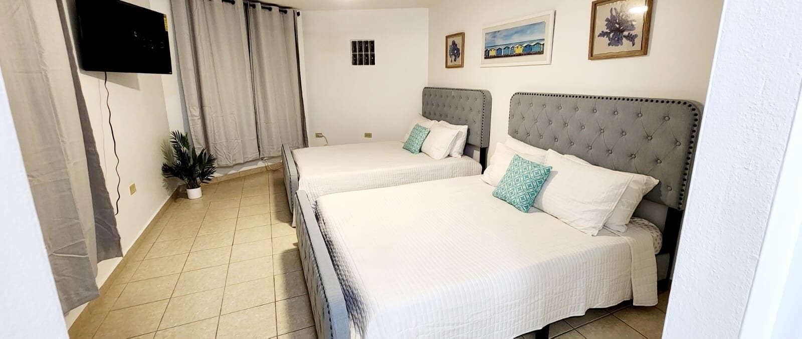 Een hotelkamer met twee bedden, een televisie, een kamerplant en kunstwerken aan de muur.