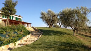 A stone staircase leading to a building with green shutters, surrounded by olive trees and a grassy hill. - Villa with pool in Capalbio 6 rooms 6 bathrooms immersed in olive grove (Toscana)