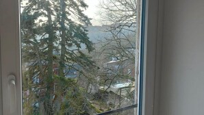 Una ventana con vista a árboles y edificios.