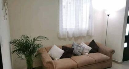 Zarco House 2
