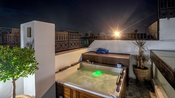 Une terrasse sur le toit avec un jacuzzi, un petit arbre et une plante en pot.