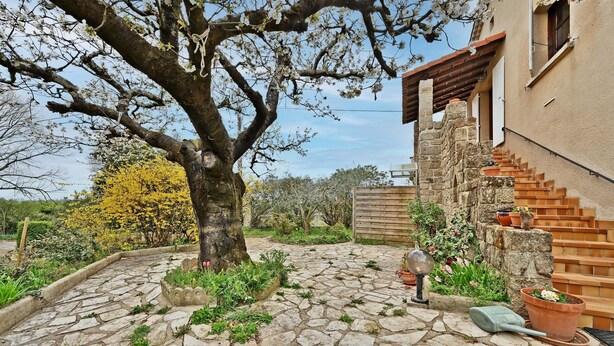Une cour dallée de pierres, avec un arbre, des plantes en pot et un escalier menant à un bâtiment.