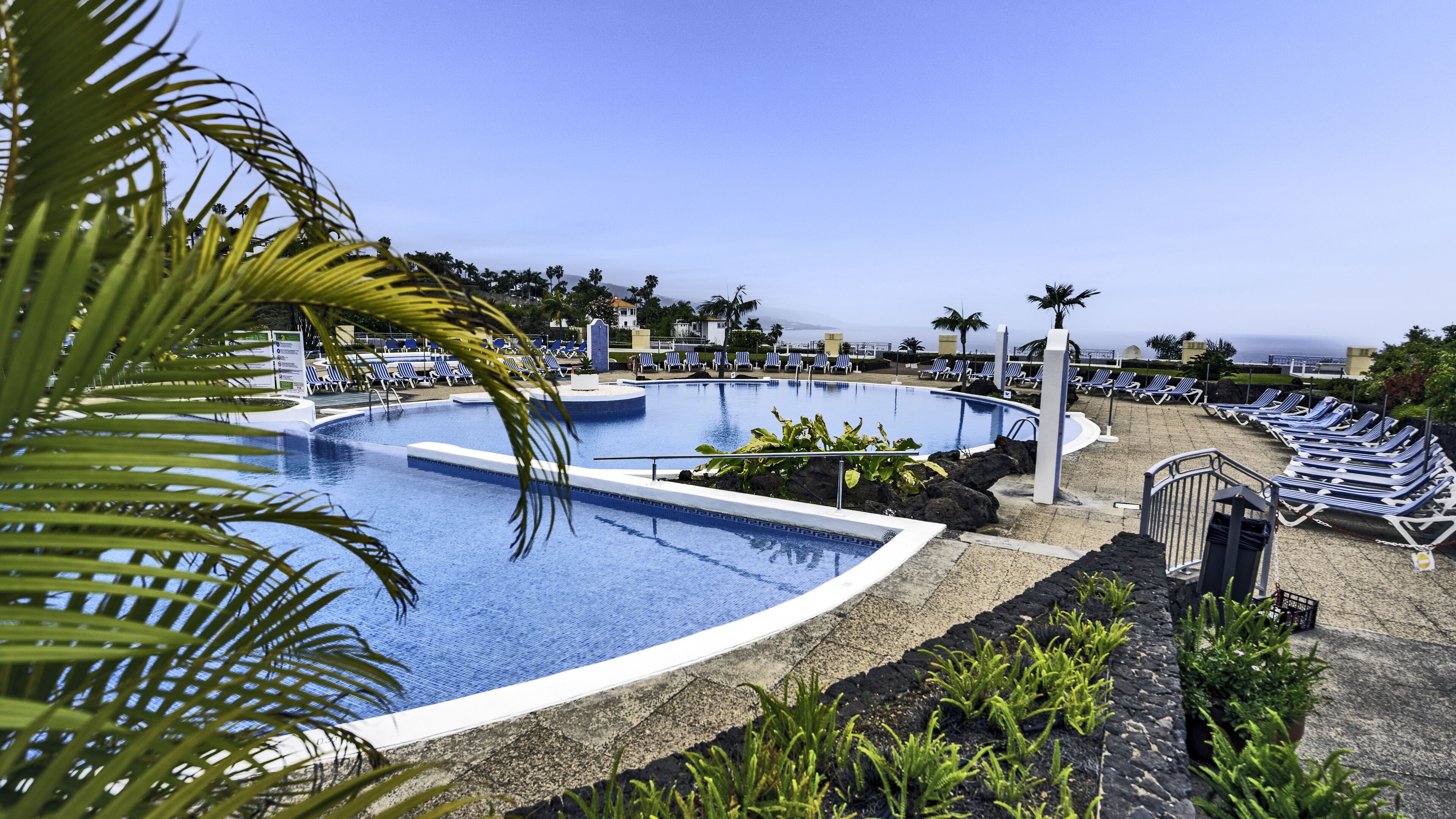 A resort pool with multiple sections, surrounded by lounge chairs and palm trees.