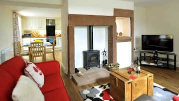 Fernseher, Kamin, DVD-Player, Bücher
