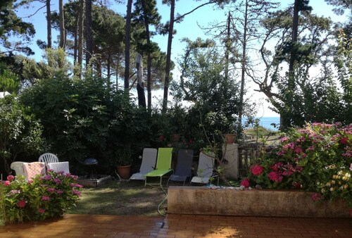 Villa 8 people 50 m from the sea, direct access
