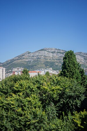 Property grounds - Apaprtment in city centar (Бар)