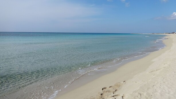A beach with clear turquoise water and a sandy shore.