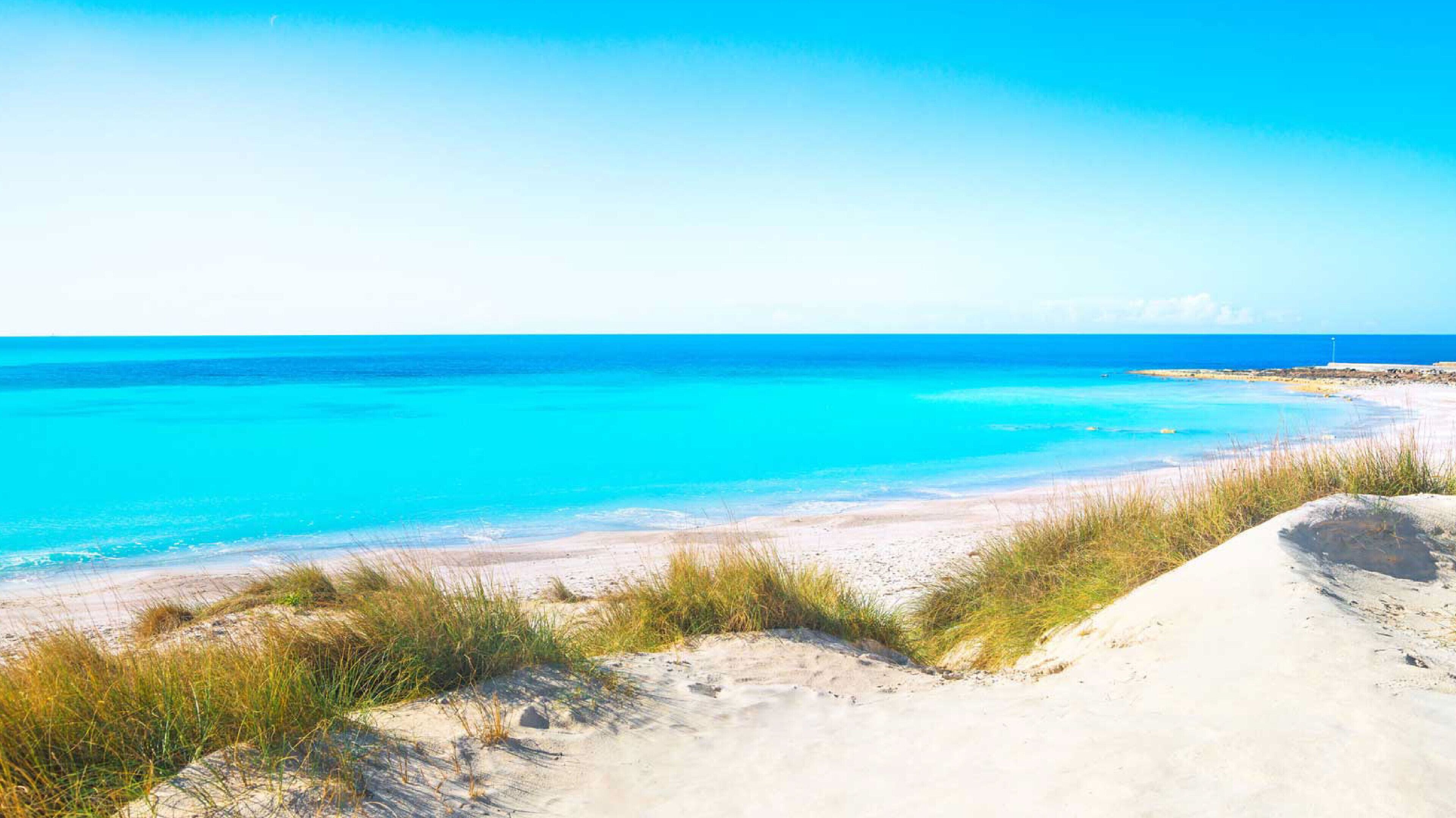 Sillas reclinables de playa