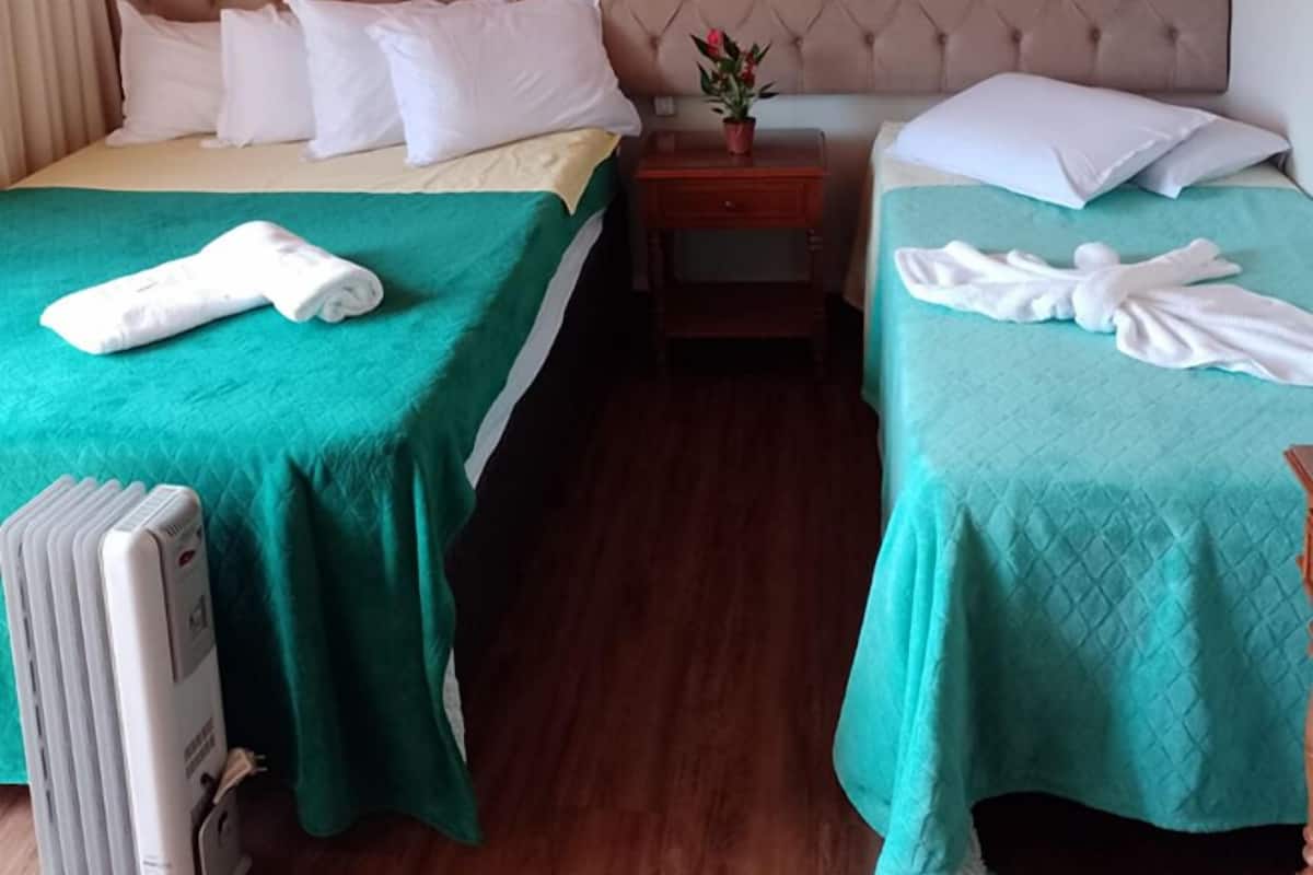 A hotel room with two beds, each with a green bedspread and white pillows. There is a wooden ceiling and a small bedside table with a flower vase.