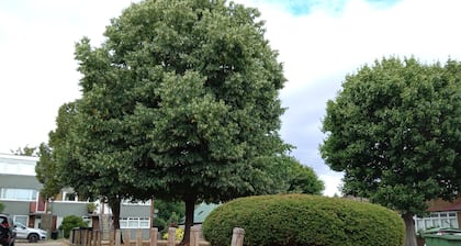 Charming 2-bed Apartment in London