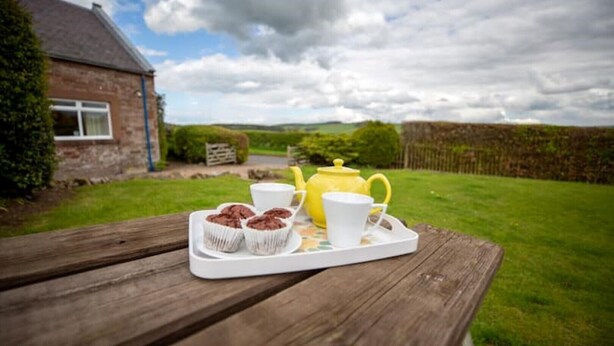 A picnic setup with a tray of muffins and tea on a wooden table, set against a rural backdrop with a house and a fence. - Wild Rose in rural location with lovely views on a working farm with walks (Jedburgh)