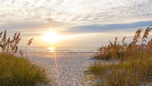A beach path leading to the ocean with tall grasses on either side.
