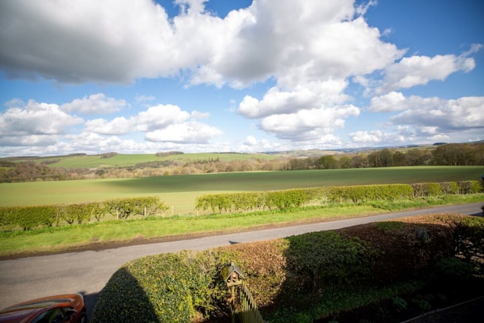 A rural landscape with a road, green fields, and a hedge with a birdhouse.