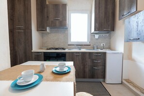 Fridge, oven, stovetop, coffee/tea maker