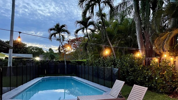 A swimming pool with lounge chairs, surrounded by a fence and palm trees, under string lights. - Cozy Suburban Home with huge backyard and pool! Welcome! (Miami)