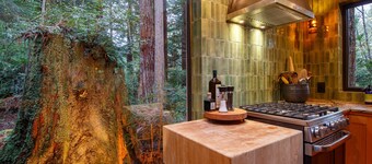 An Architects Studio- In a Secluded Forest