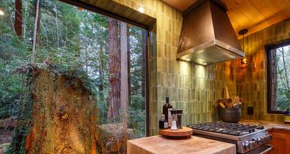 An Architects Studio- In a Secluded Forest