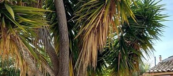 a Flower House in Corfu Close to Beach and Town