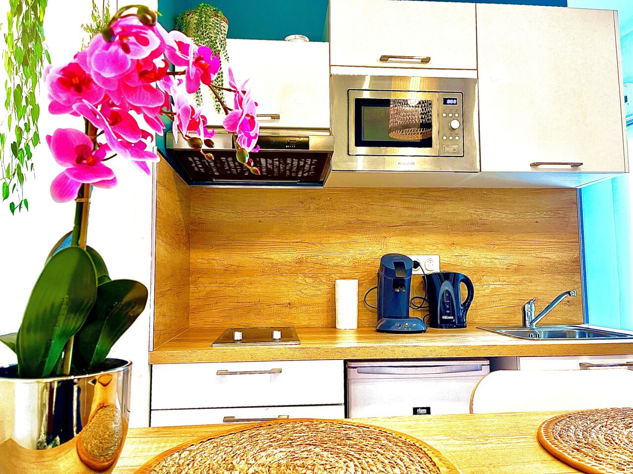 ★The atypical Indiana studio in the hyper center of Salon★