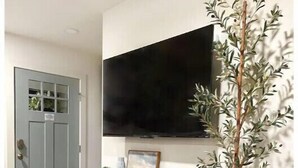 A modern living room with a grey door, a wooden bench, a woven stool, a flat-screen TV, and a small potted plant.