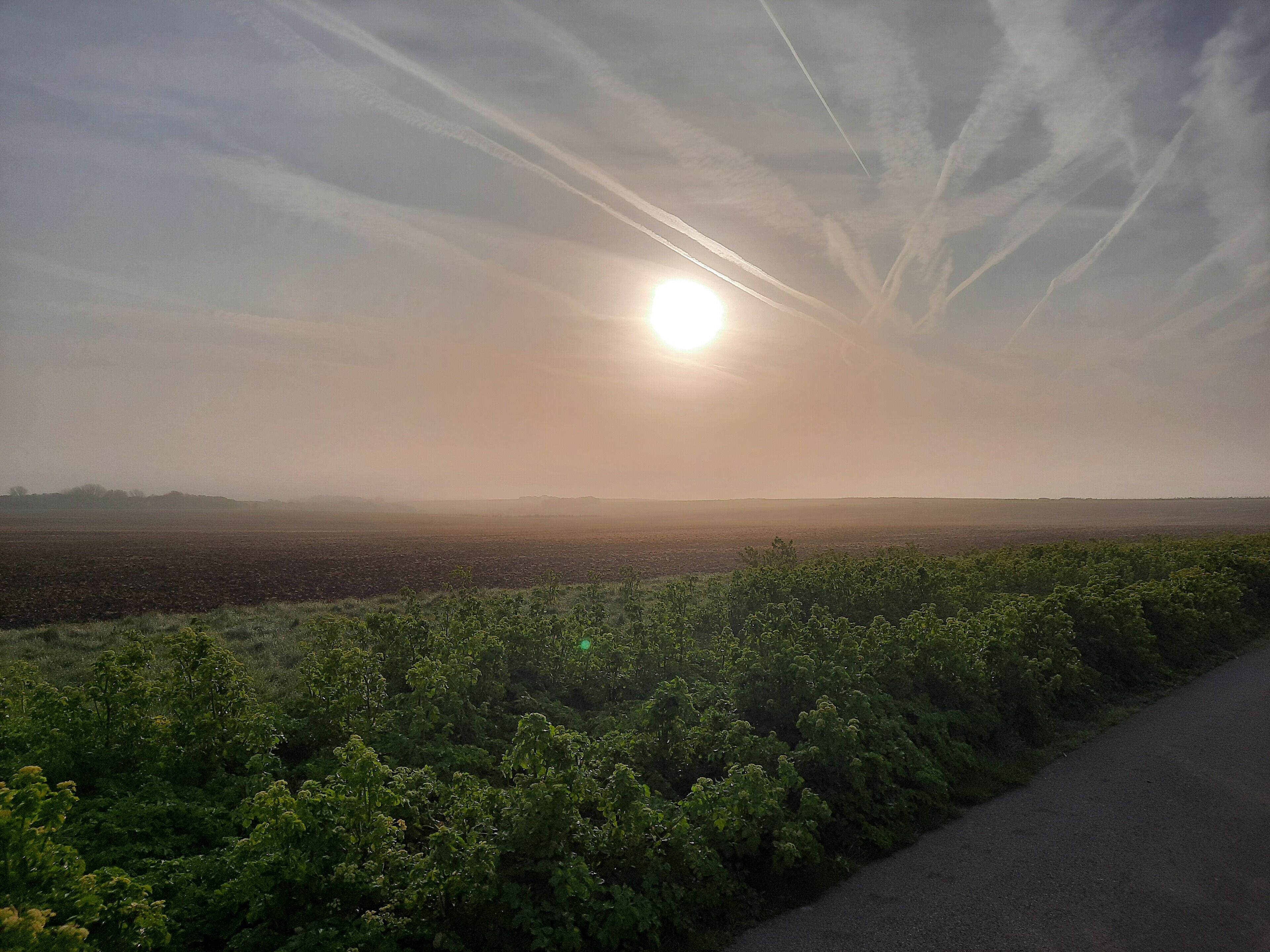 Un paisaje con una carretera, vegetación y un cielo despejado con el sol.