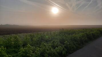 Un paisaje con una carretera, vegetación y un cielo despejado con el sol.
