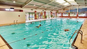 Ein Hallenbad mit deutlichen Bahnen, Sprungbrett und überdachter Dachkonstruktion.