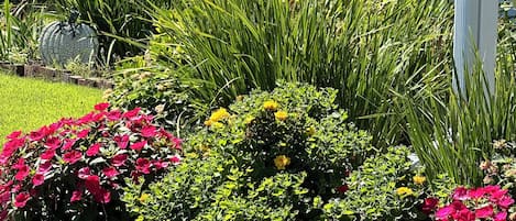 Terrein van de accommodatie