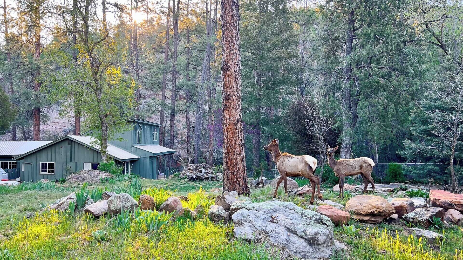 Riverside Hideaway - Luxury Cabin Escape