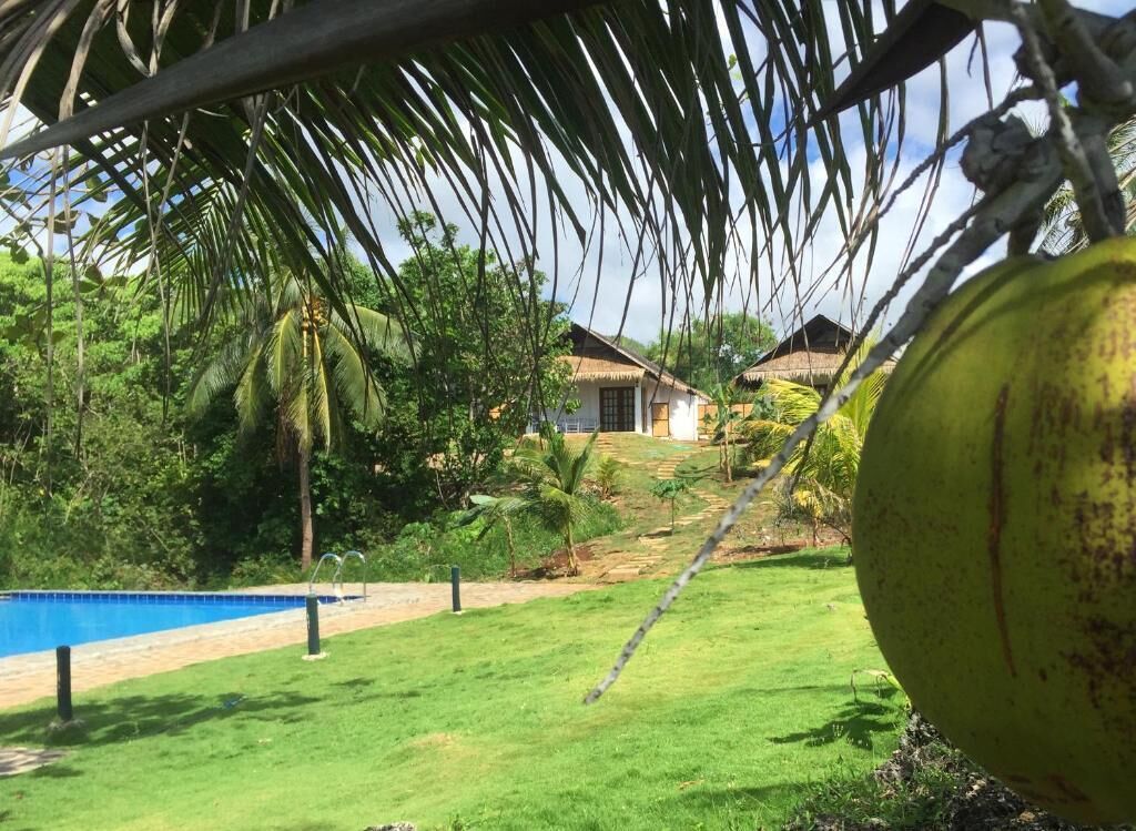 A pool area with a clear view of a thatched-roof house and lush greenery.