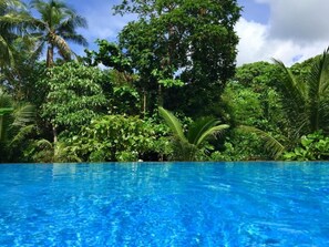 Outdoor pool, sun loungers