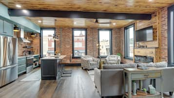 TV, fireplace, books