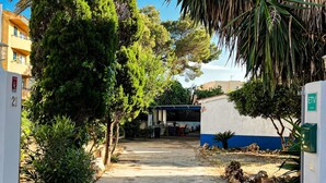 Une allée dallée mène à un bâtiment dont la façade est peinte en bleu et en blanc, et qui est entouré de verdure, avec un ciel bleu clair en arrière-plan.