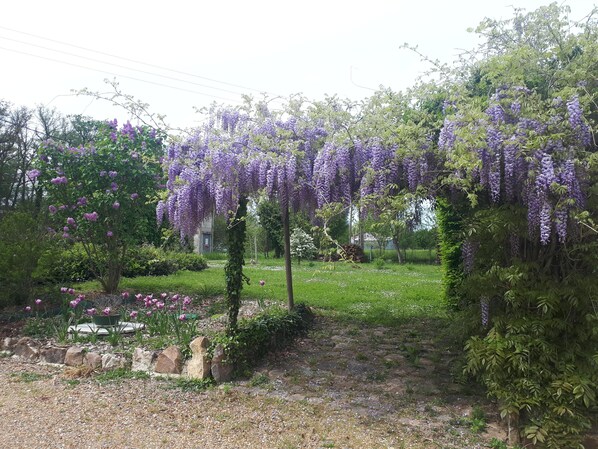 Terrein van de accommodatie