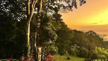 Vila | 7 kamar tidur