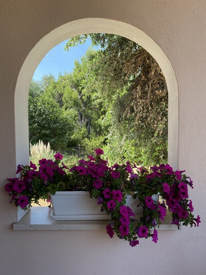 Villa immersed in the countryside, a few steps from the sea