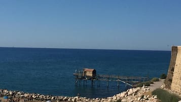 Beach/ocean view