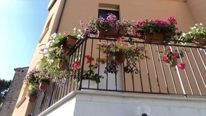 Front of property - la casa dei fiori (Montecilfone)
