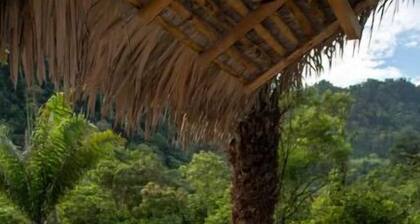 Remote Luxurious Riverside Jungle Retreat/Farmstay